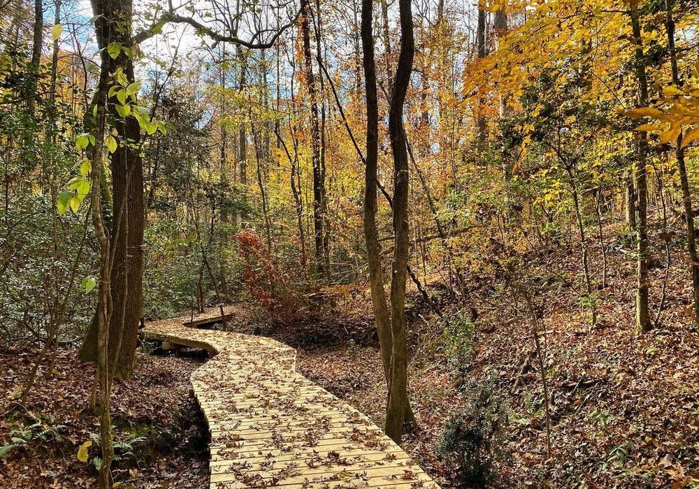 Volunteer Workday: Nalley Brown Nature Park