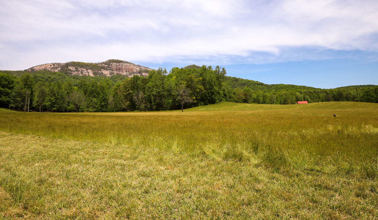 40,000+ acres protected