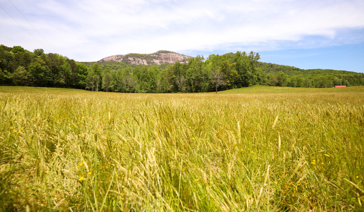 Grant Meadow