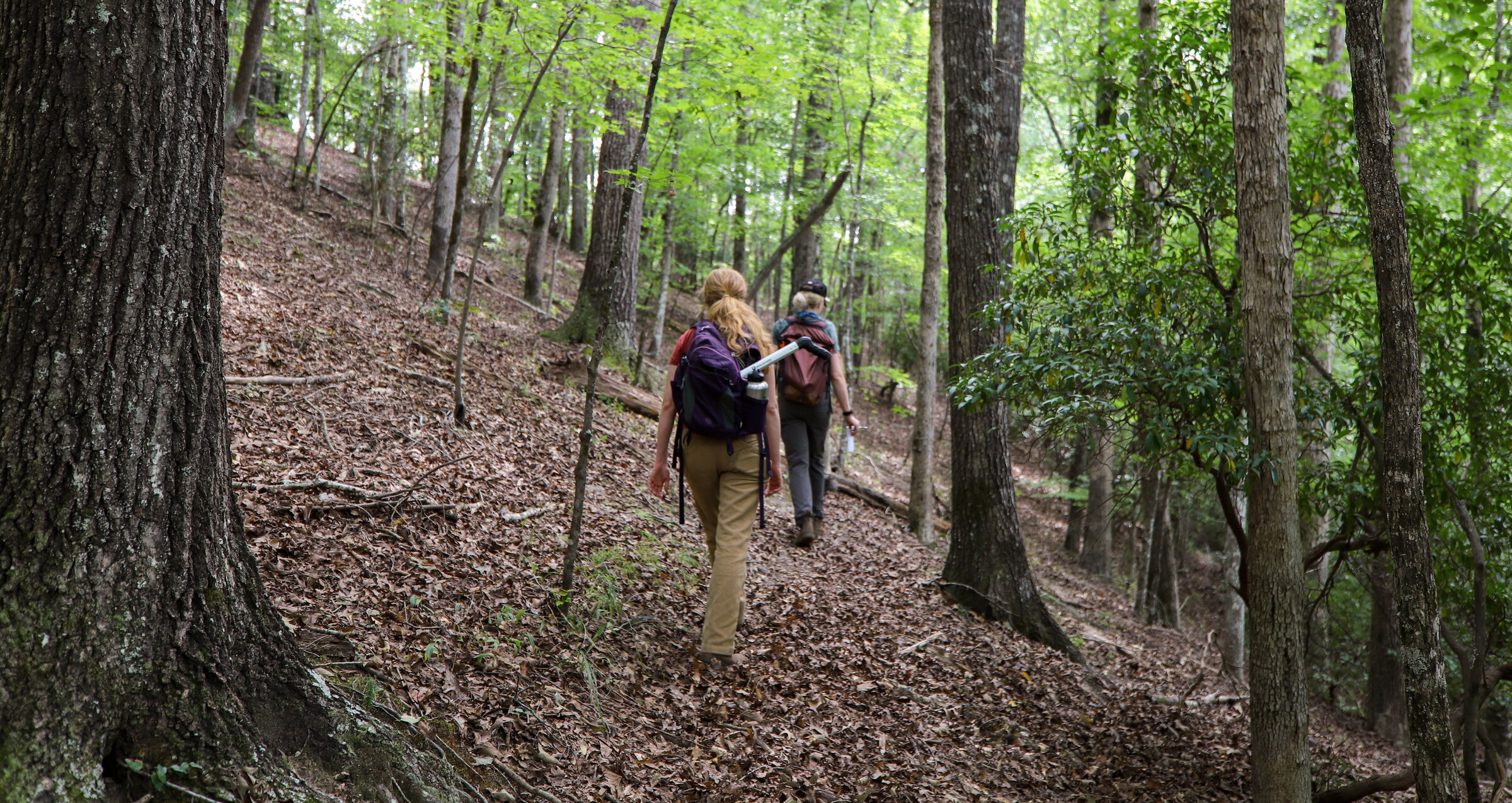 Stewardship & Landowner Resources