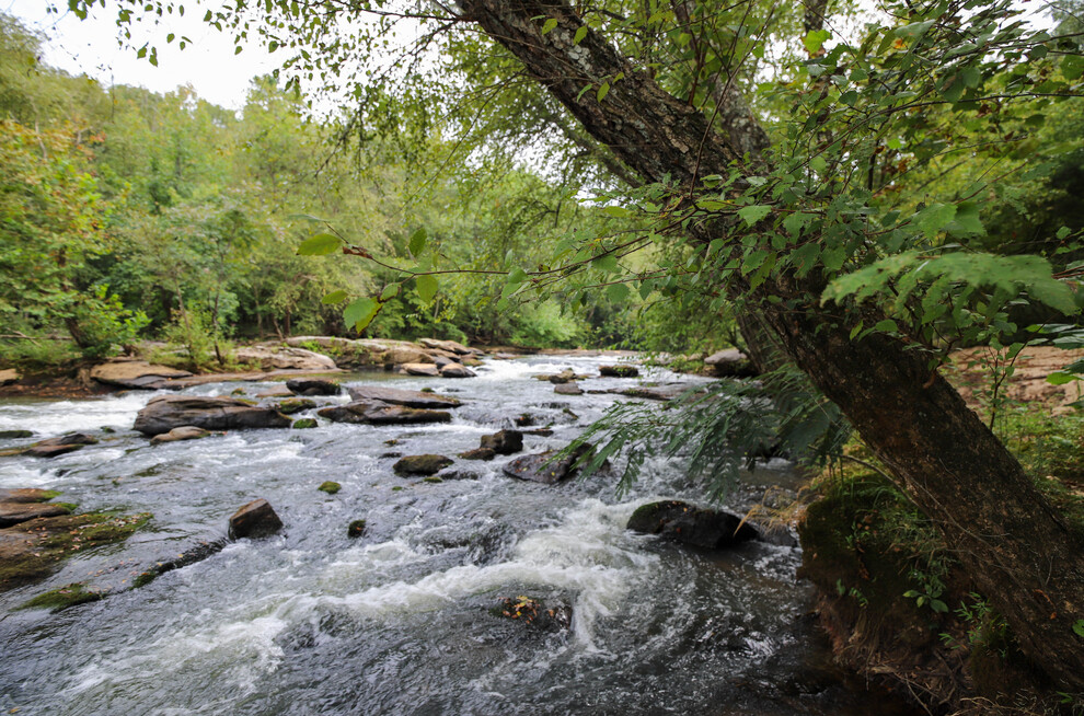 Tyger River Recreation Area Master Plan