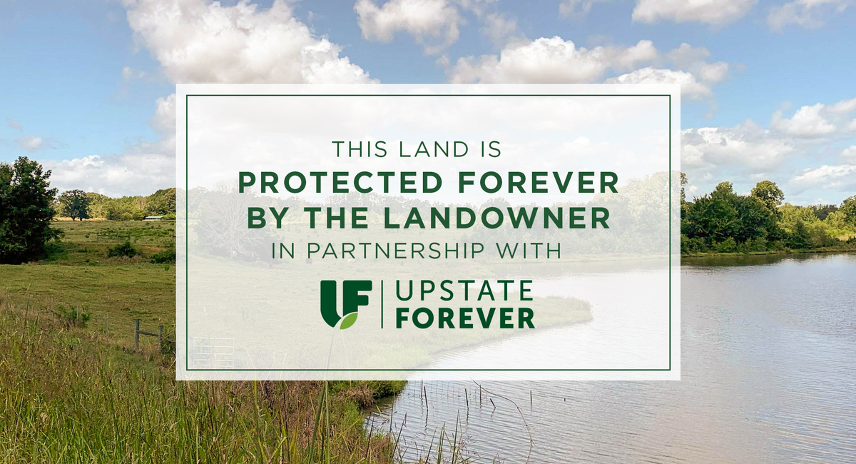 Recently protected: More than 170 acres in Oconee County