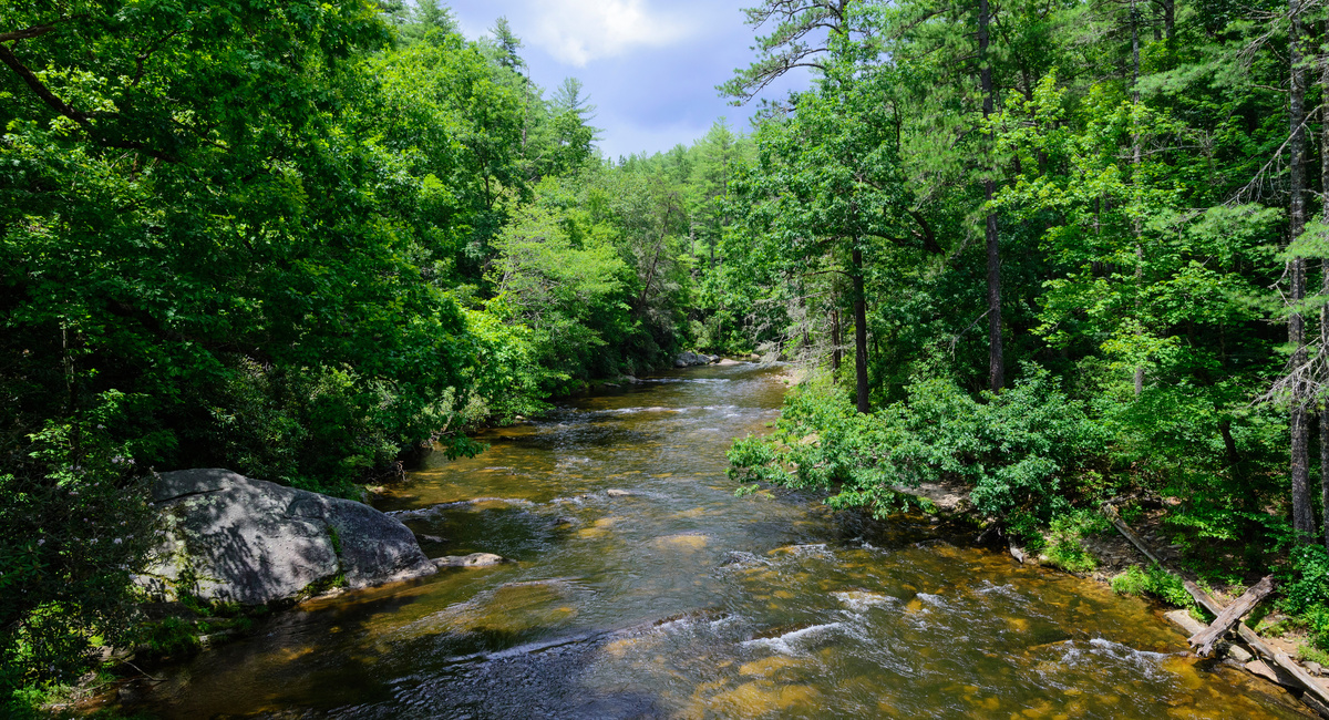 Chattooga: Jewel of the Southeast