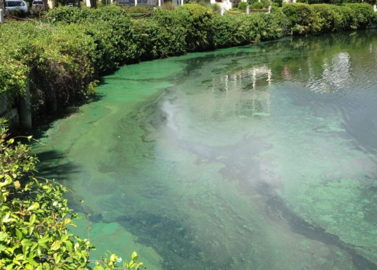 Why address pollutants