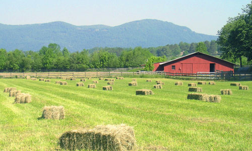 Upstate Forever received an $80K grant from Greenville Women Giving