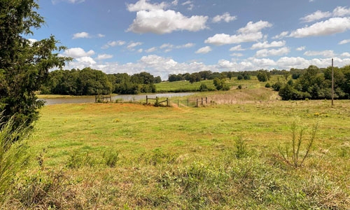 More forests, farms, and green space protected by Upstate Forever in 2023