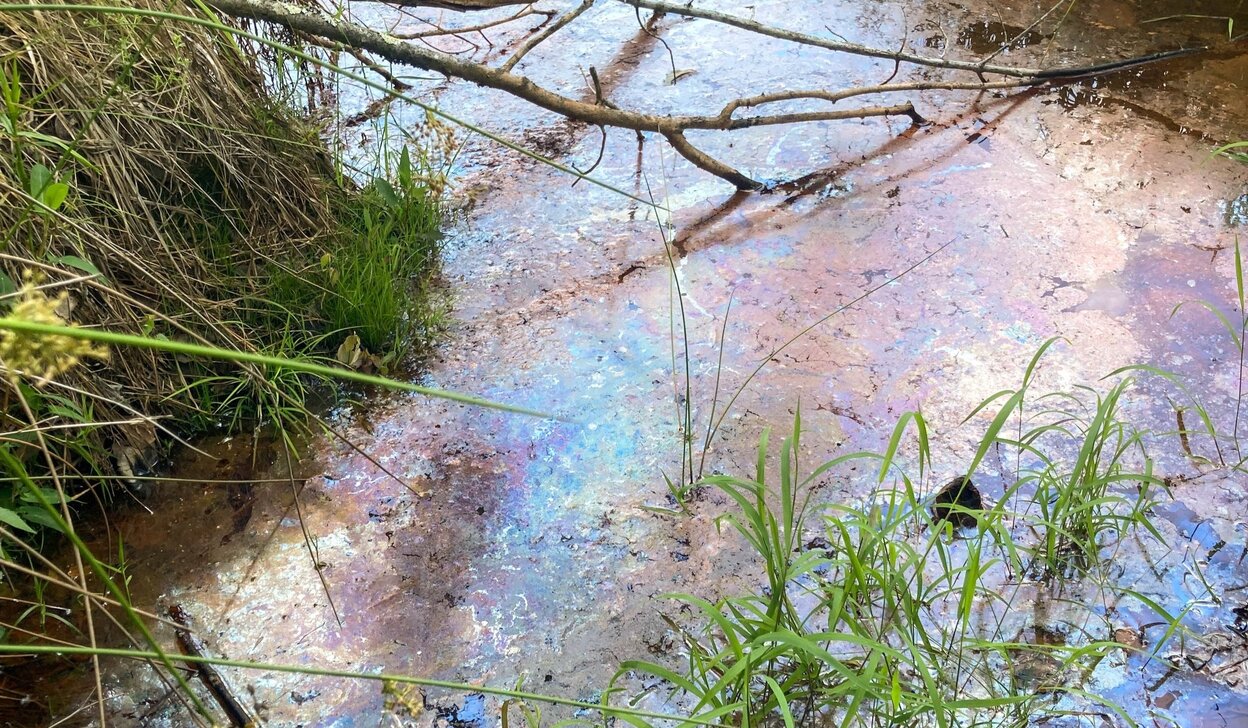 Holding polluters accountable