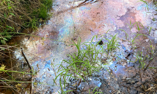 New Funding Opportunity for Anderson County Watershed Protection