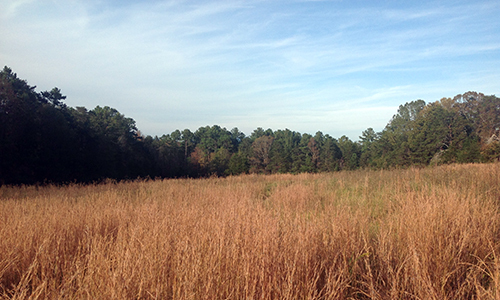 Upstate Forever Opposes PNG Gas Pipeline Project