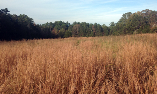 Greenville Journal Op-Ed: PNG pipeline threatens Greenville County’s economy and environment