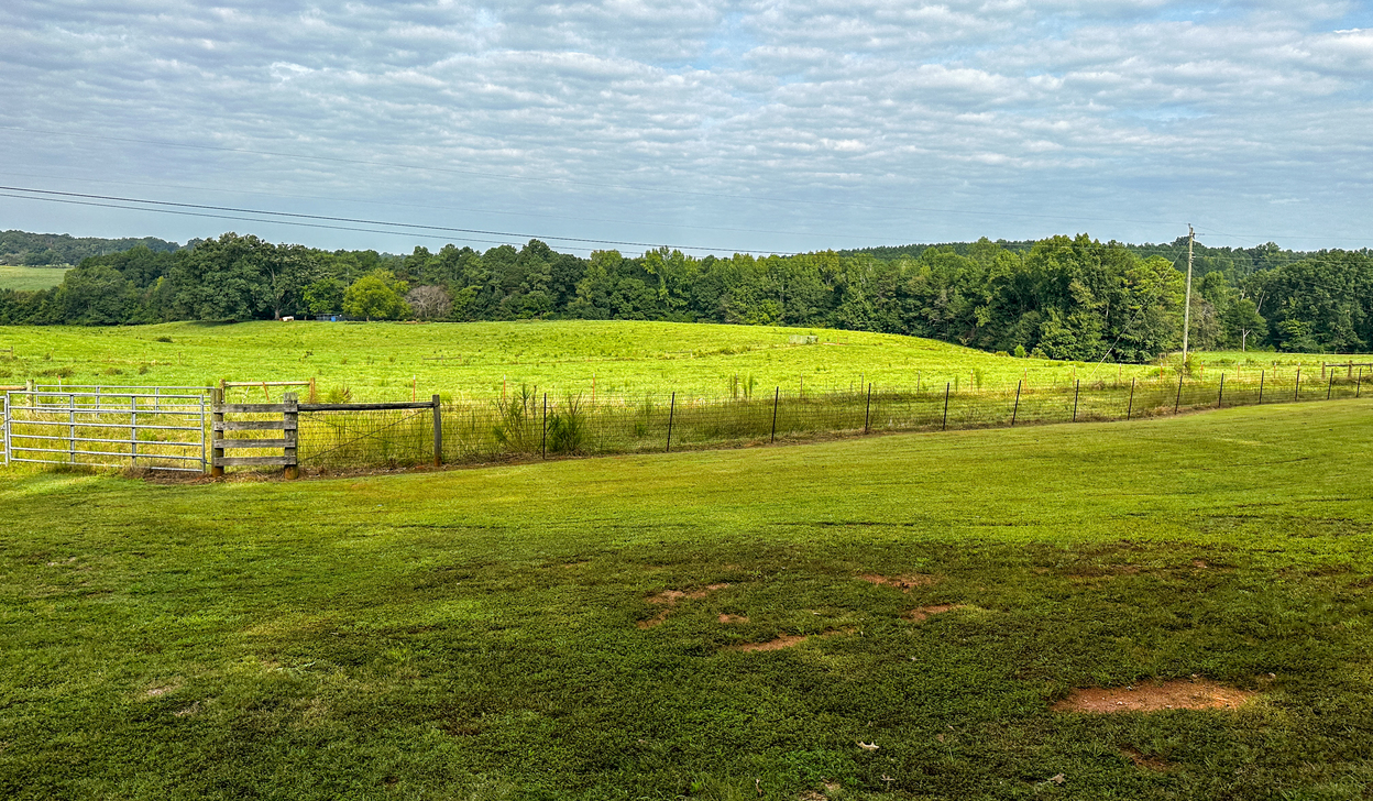 Fields
