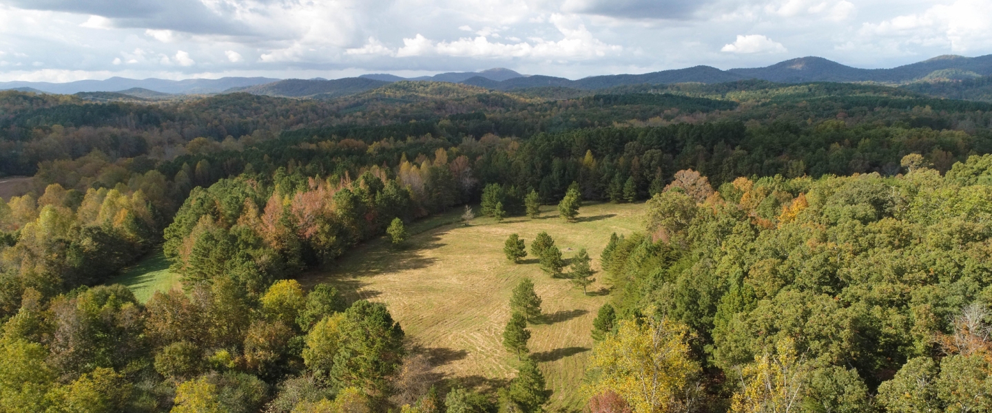 Upstate Forever seeking reaccreditation from the Land Trust Alliance, public comment period now open