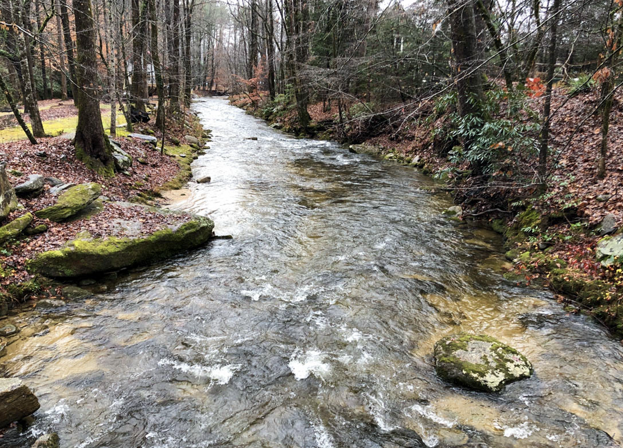 Riparian buffer benefits + healthy buffer image
