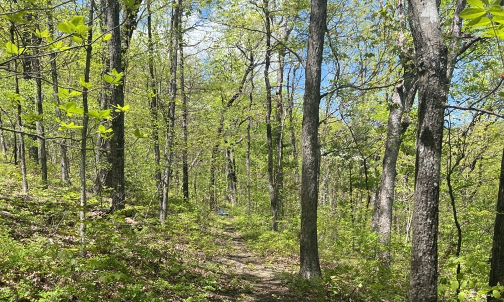 500-acre Cedar Rock easement transferred to Upstate Forever