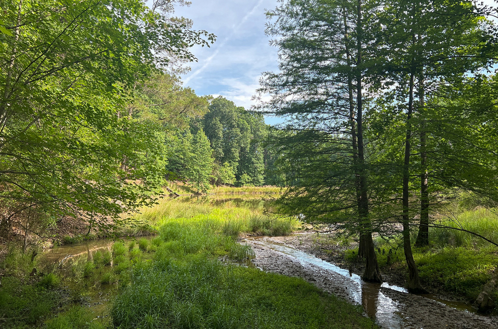 Protecting riparian buffers