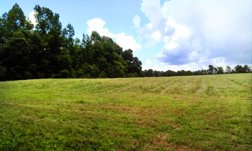 Cragmoor Farms expands protected land, offers farm-to-school project