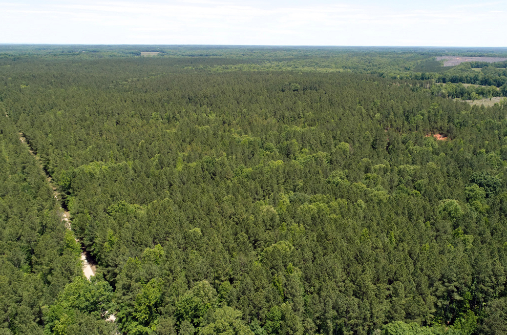 Morrow Creek Timbers