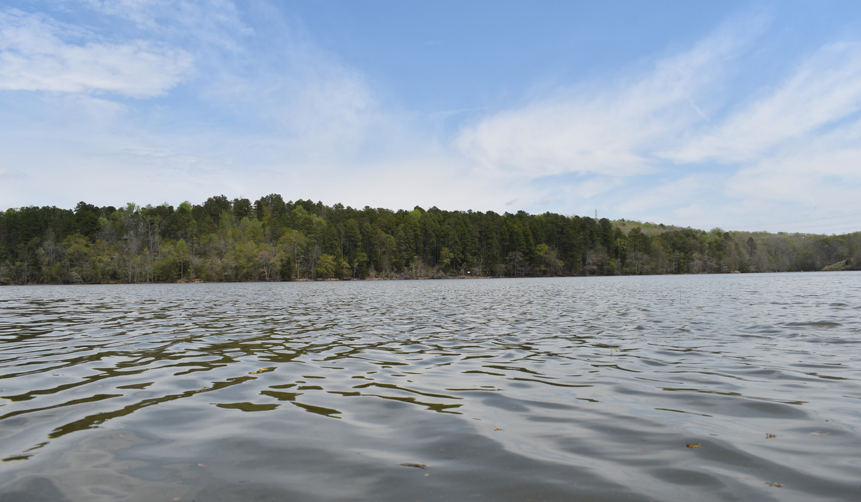 Toxic chemical cleanup