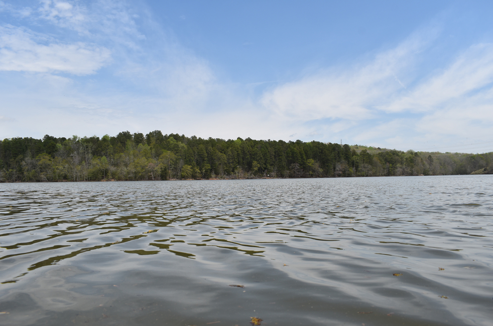 Twelve Mile River Restoration