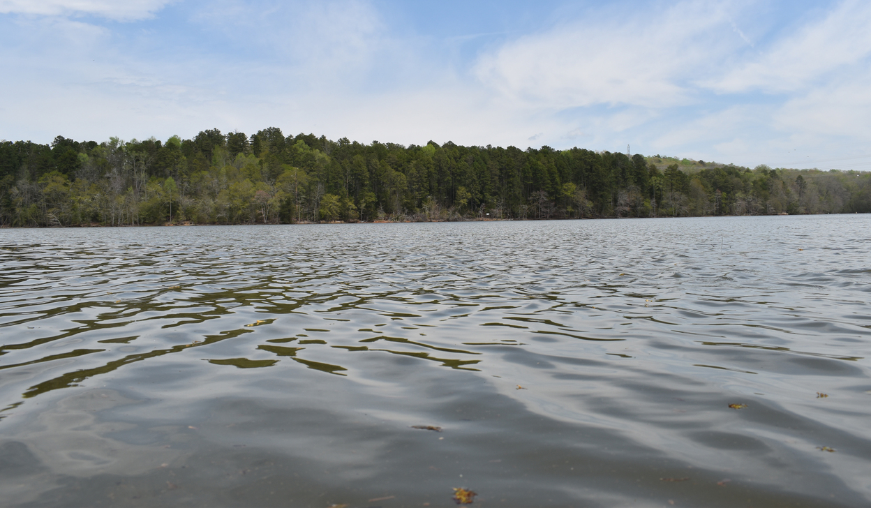 Twelve Mile River Restoration