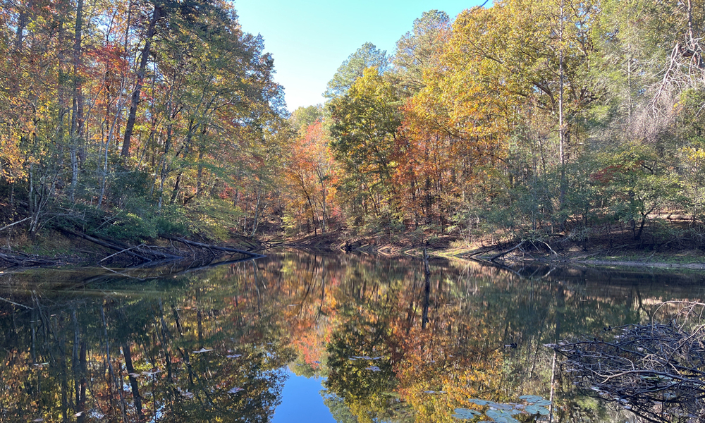 Upstate Forever announces 2,100+ recently conserved acres