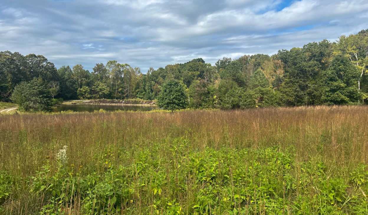 Field