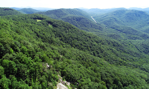 Nature Conservancy Transfers 955 Acres to Jones Gap State Park