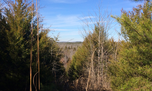 Upstate Forever now permanently protects land at Gilkey Creek and Grassy Knob