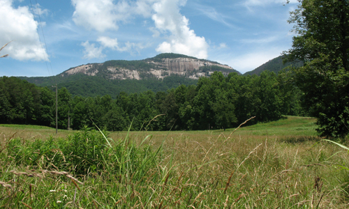 More than 2,000 acres protected by Upstate Forever in 2020
