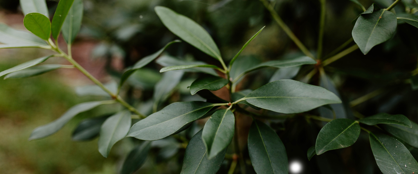 Our commitment to racial justice