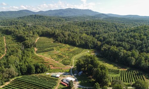 Nearly 3,600 acres protected by Upstate Forever in 2021