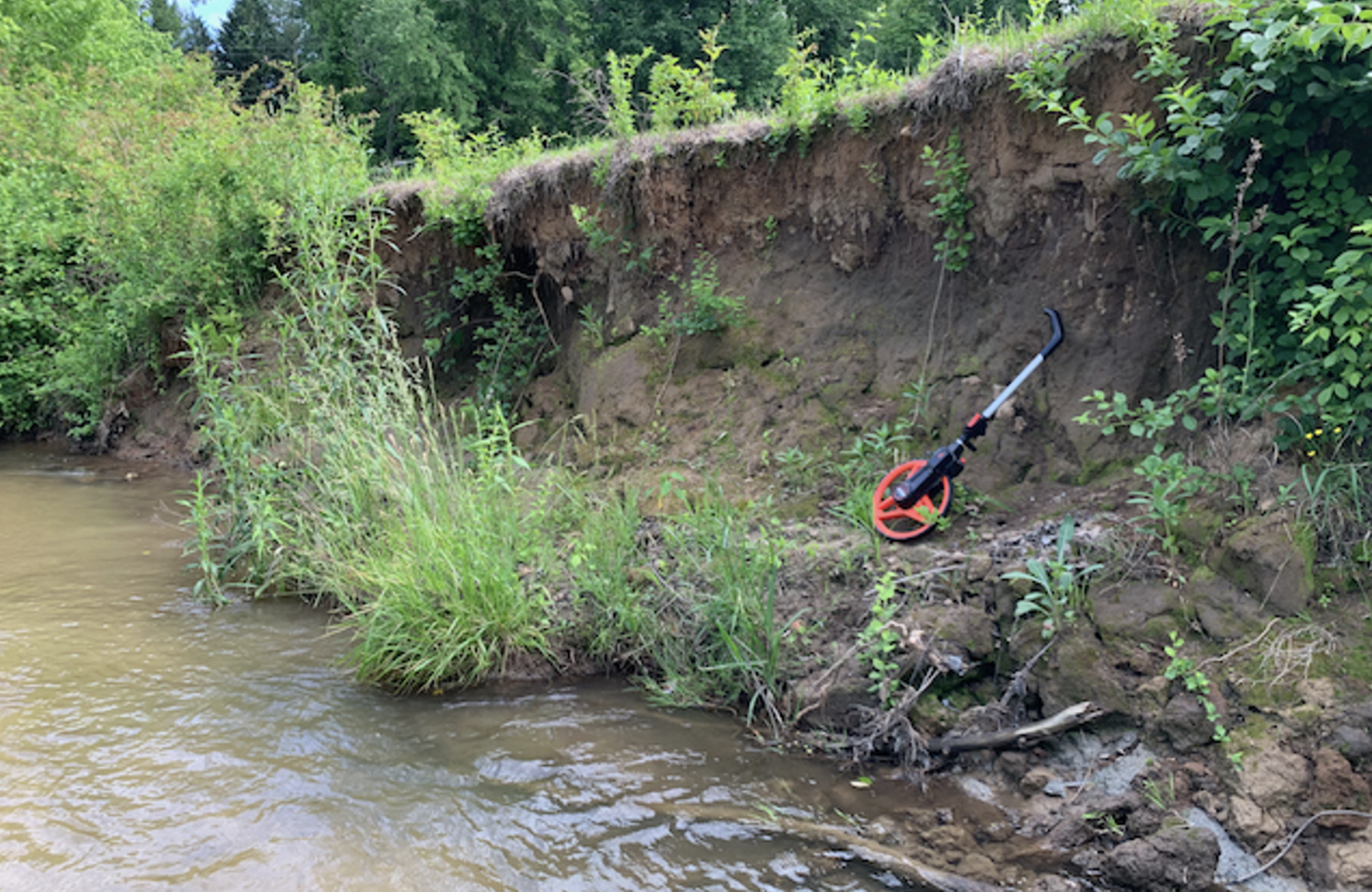 Impaired riparian buffer