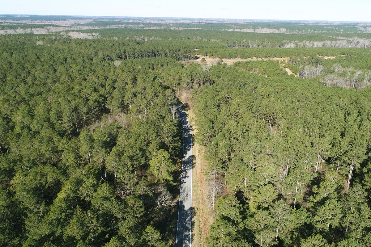 RML Timber