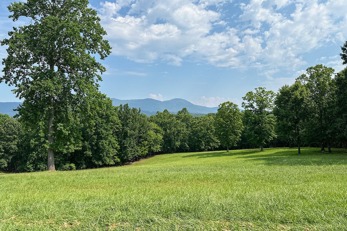 Long Lane Farm