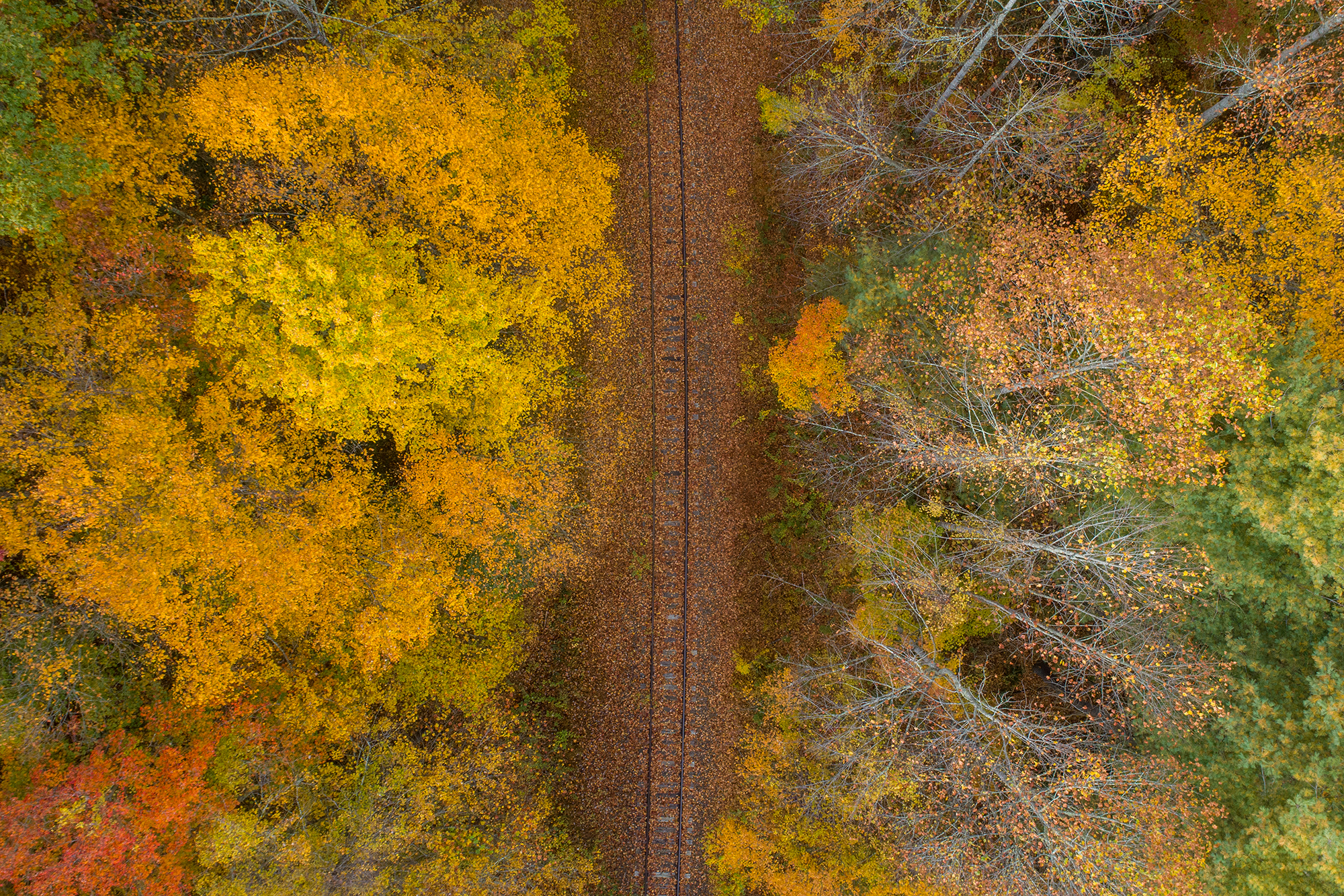 An aerial view of the former Saluda Grade railroad corridor — future home of a multi-use rail trail connecting the Carolinas!