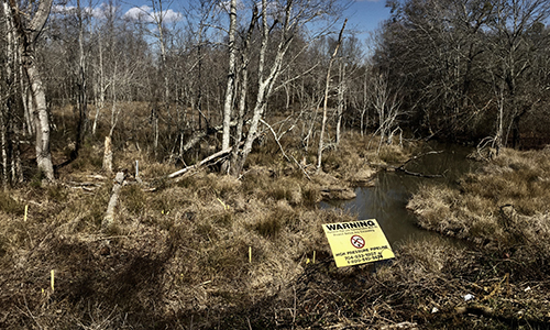 Southern Environmental Law Center: $1.5 million secured for watershed protection and awareness