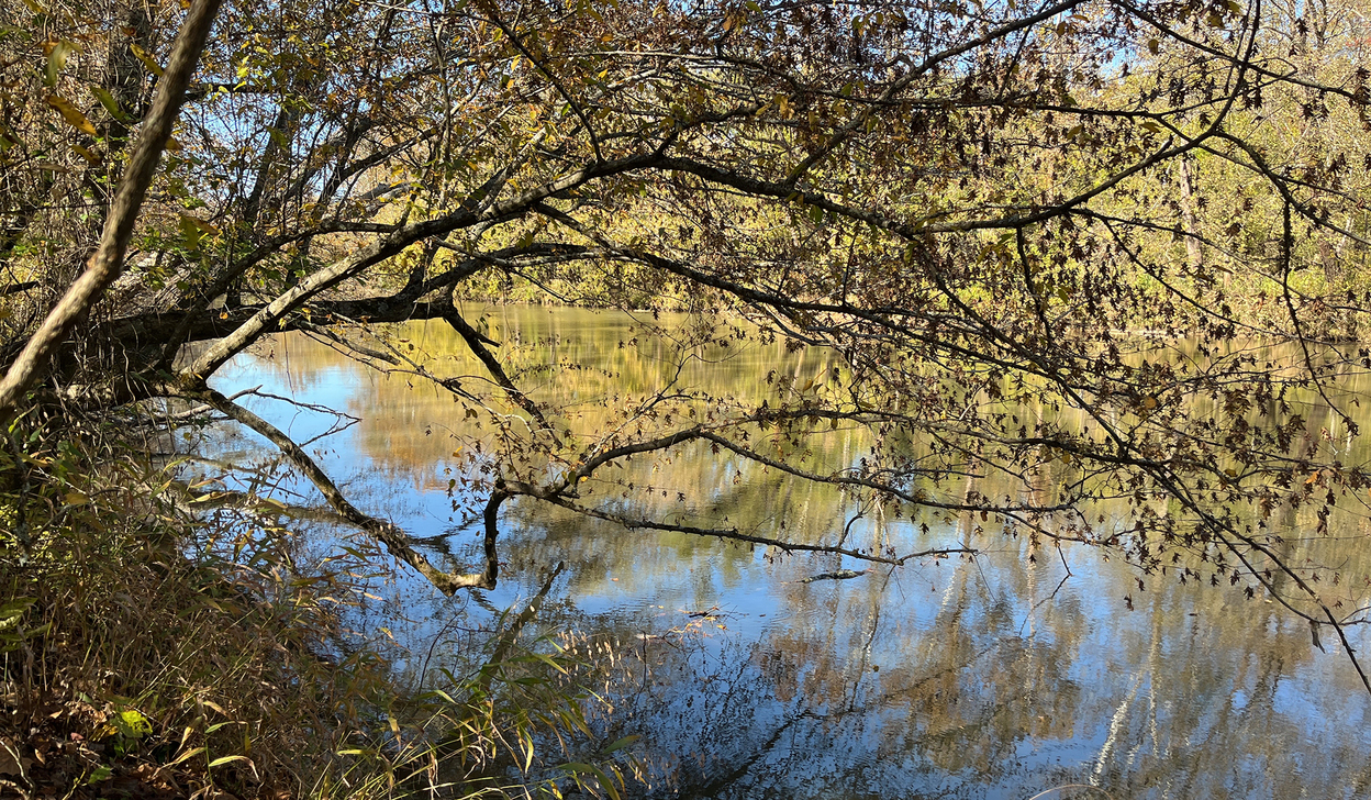 Saluda River