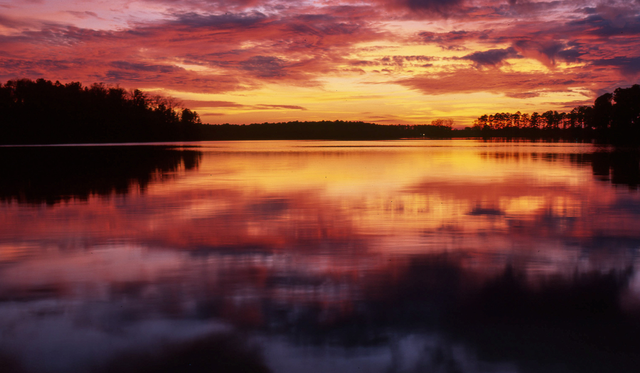 Saving Lake Greenwood