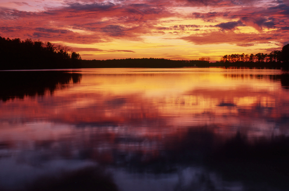 Saving Lake Greenwood