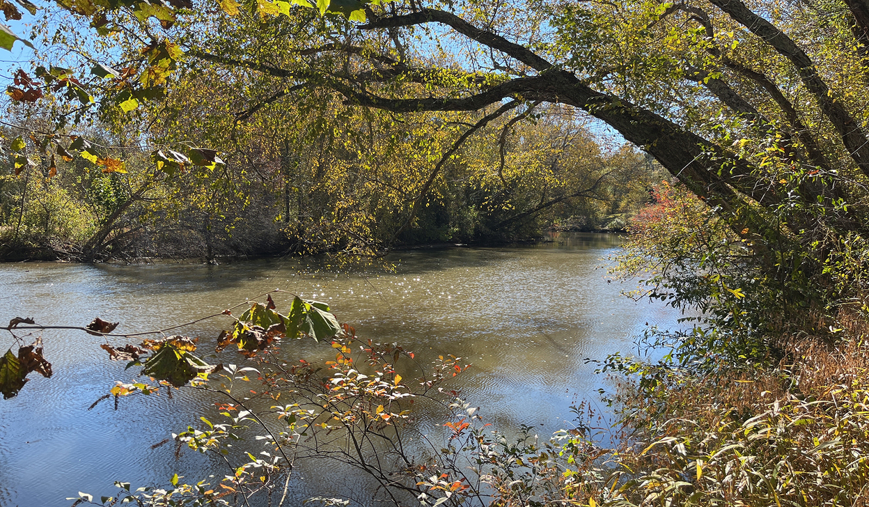 Saluda River
