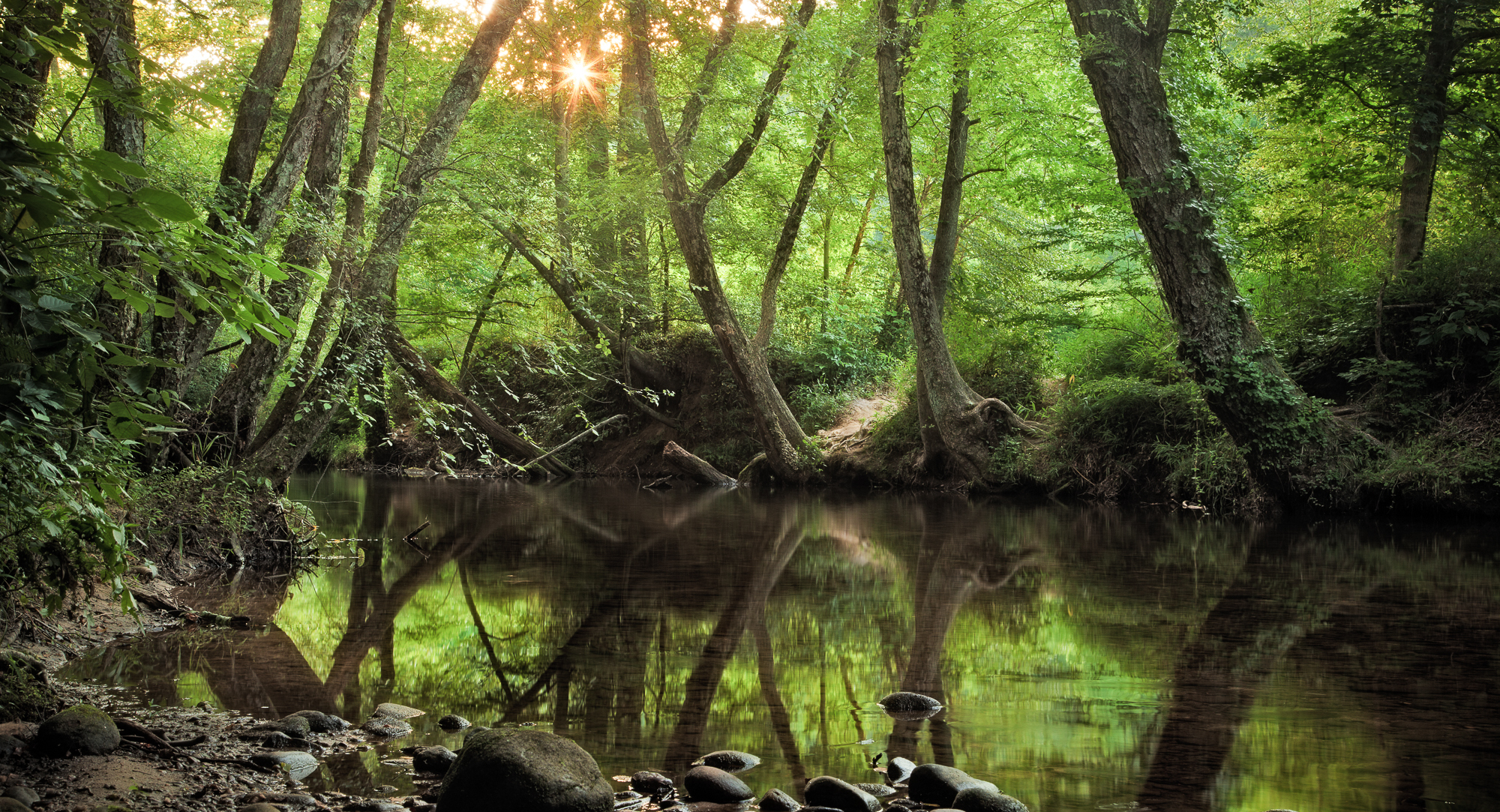 Watershed-Based Plan Implementation Grants