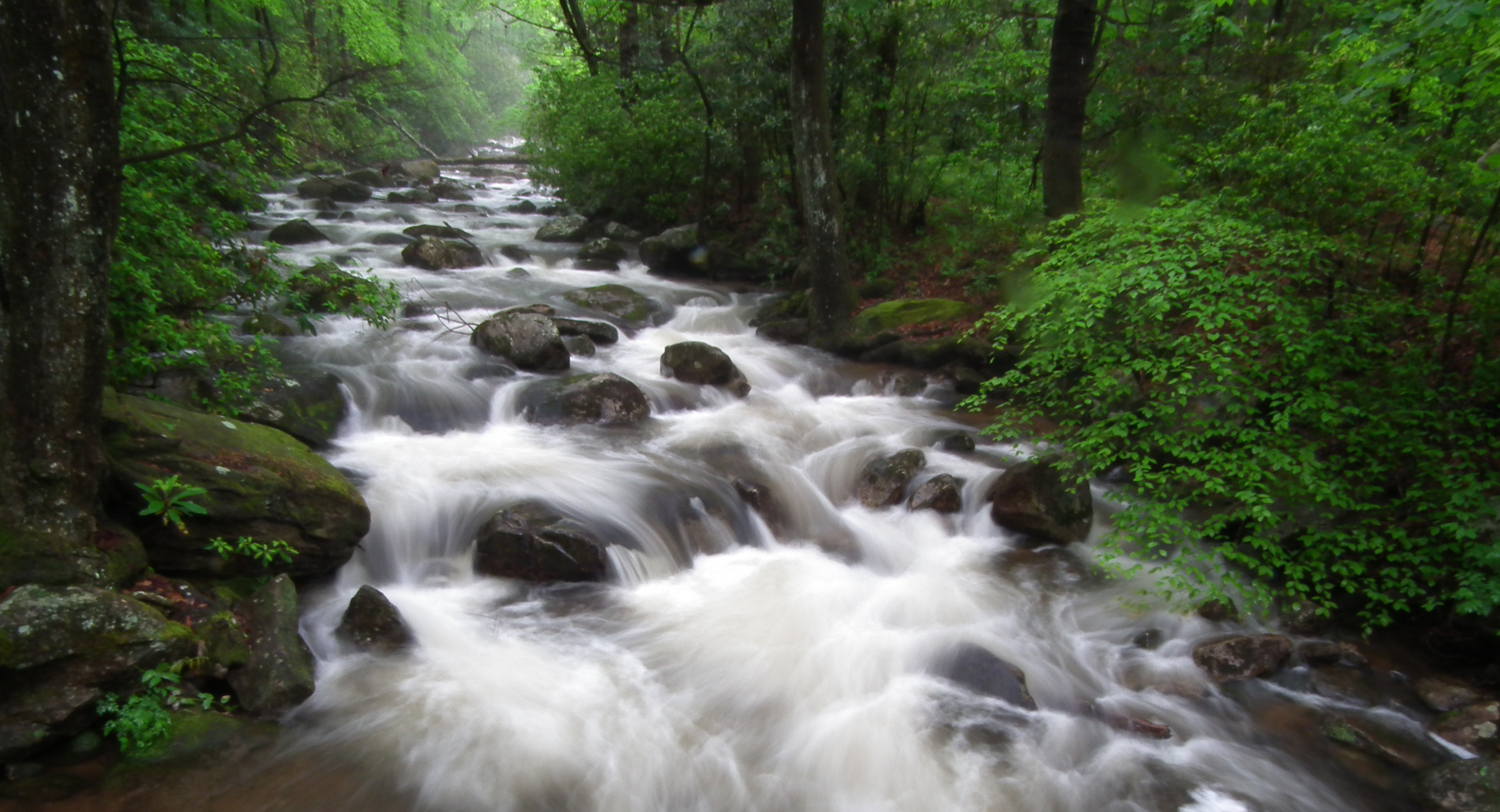 Clean Water Advocacy