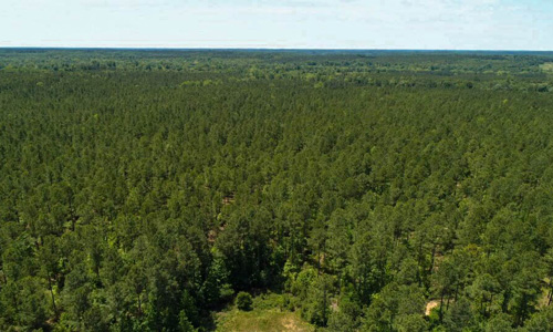 Upstate Forever protects 664 acres in Abbeville County