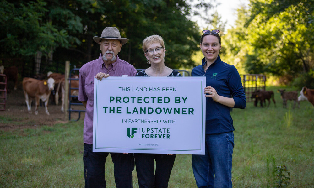 Upstate Forever protected more than 1,100 acres in 2024 via conservation easements