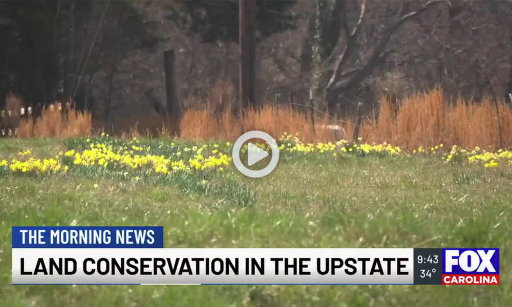 Fox Carolina: How two Upstate families kept developers at bay