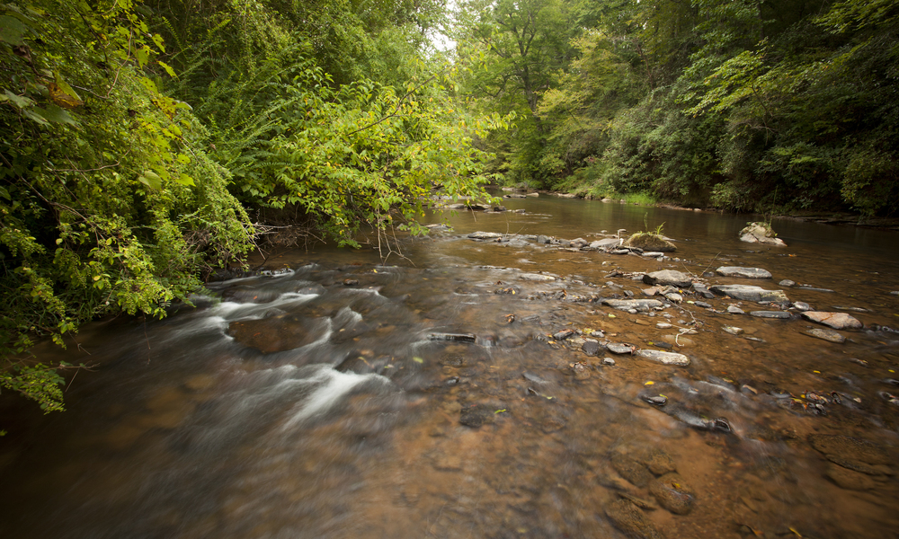 Upstate Forever seeks consultant for water quality monitoring services