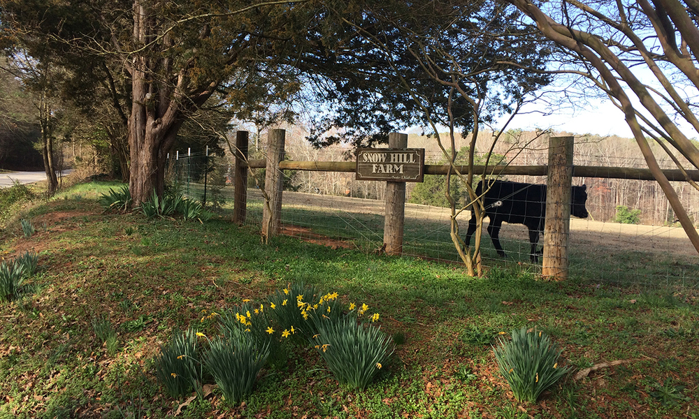 Upstate Forever announces nearly 450 acres in new conservation easements