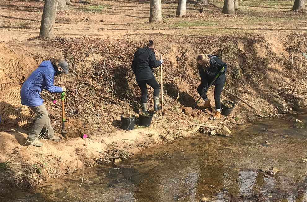 Streambank repair