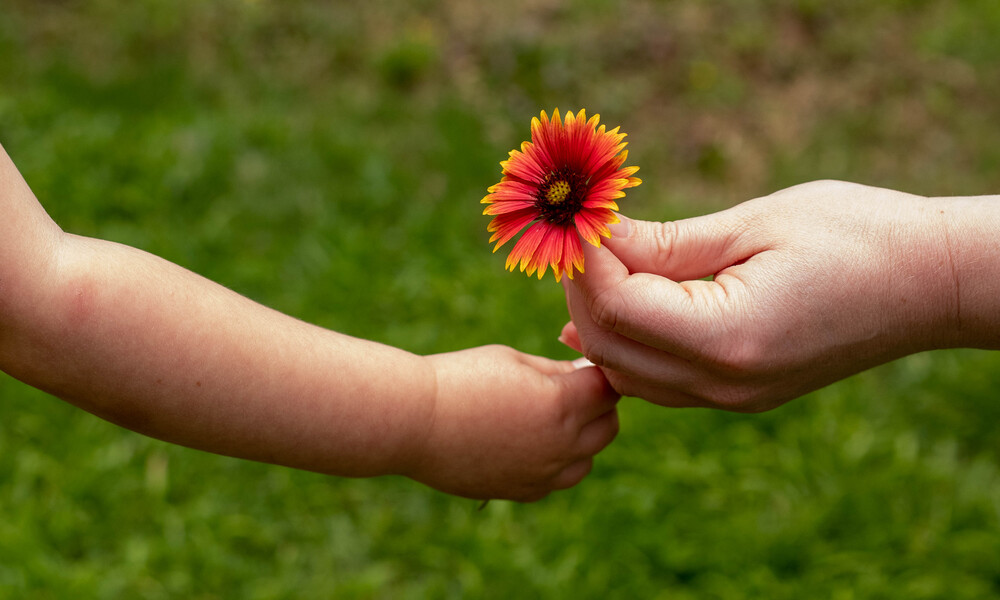 Upstate Forever announces Generations Campaign