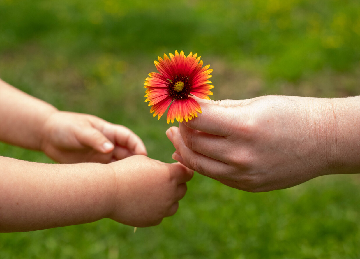 Planned Giving Newsletter